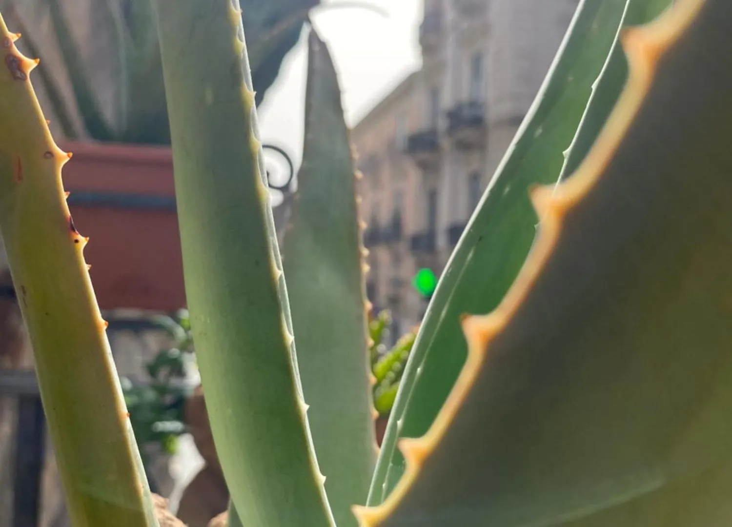 I Lumi Acomodação com café da manhã Catânia